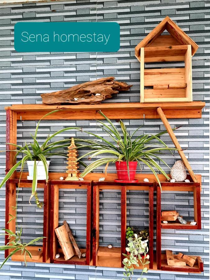 Sena Home 4Th-Rooftop Overlooking Danang Dragon Bridge Ngoại thất bức ảnh